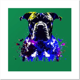 Presa Canario Dogo Canario Artwork Posters and Art